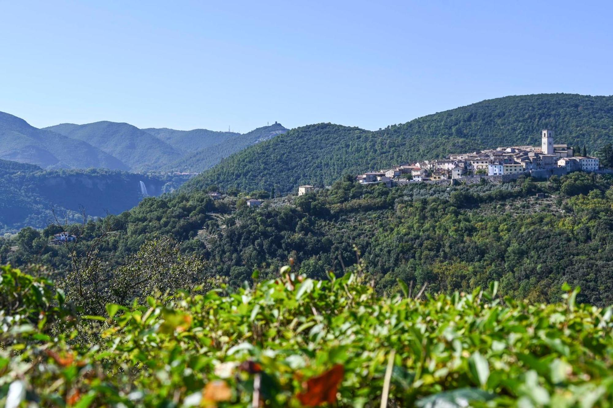 Il Colle Di Torre Orsina Apartment ภายนอก รูปภาพ